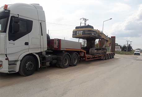 tisan faliyet alanı